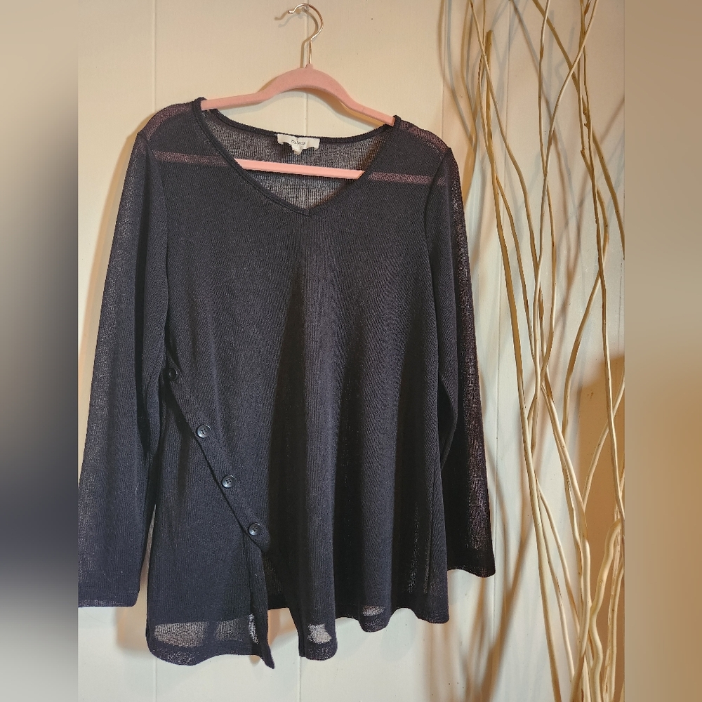 Sheer Long Sleeve Top